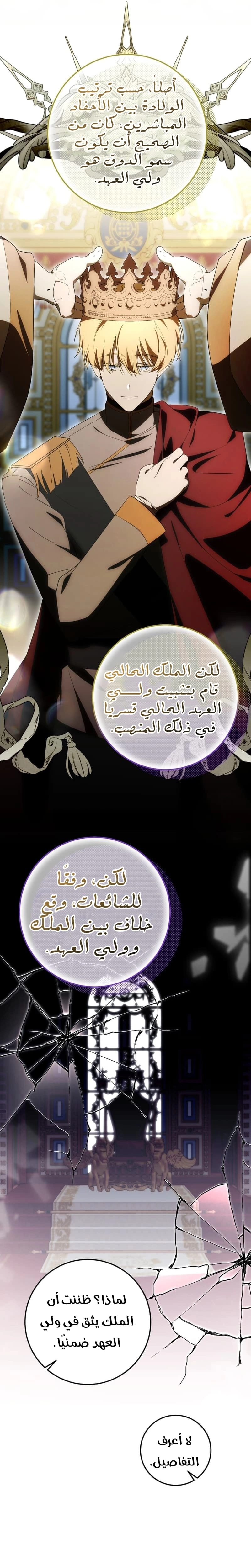 الصفحة 15