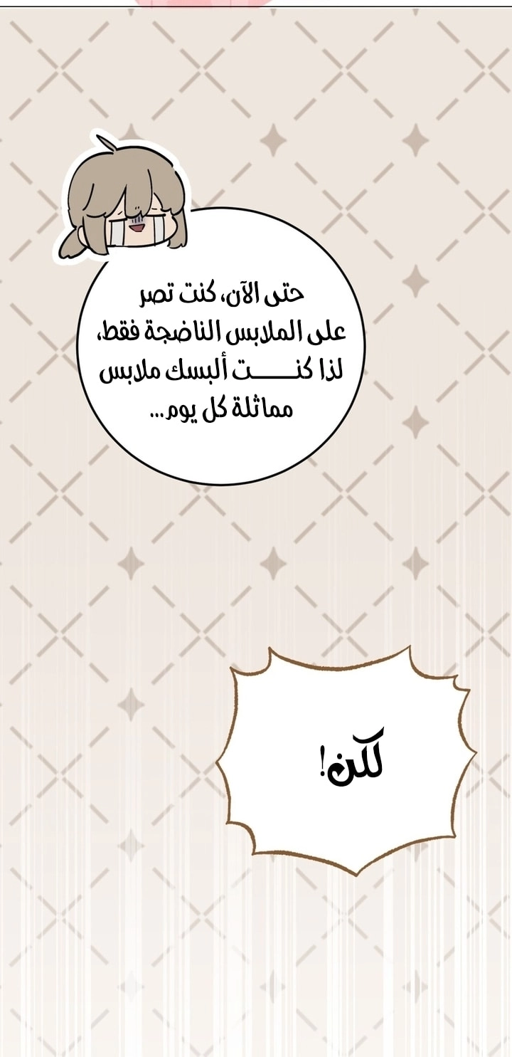 الصفحة 29