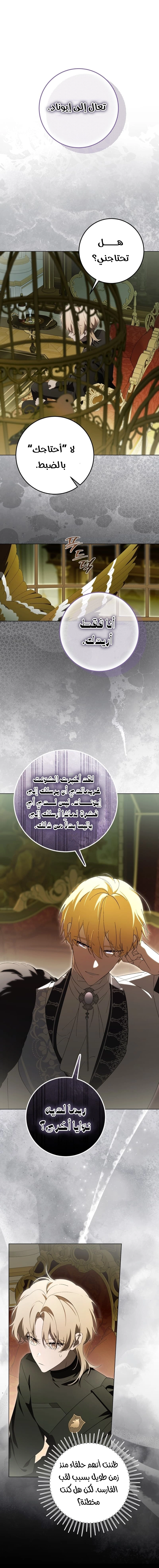 الصفحة 26