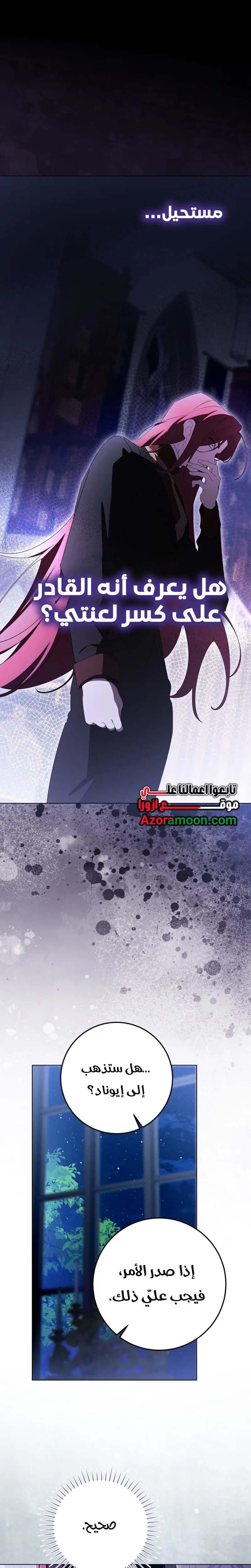 الصفحة 27