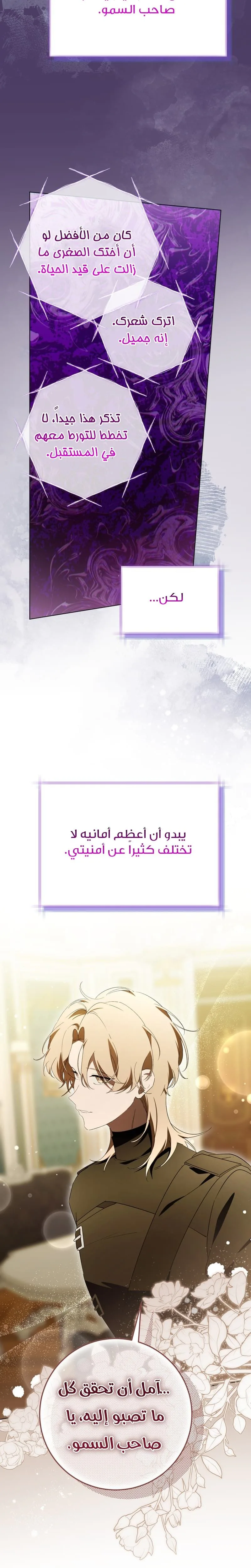 الصفحة 31