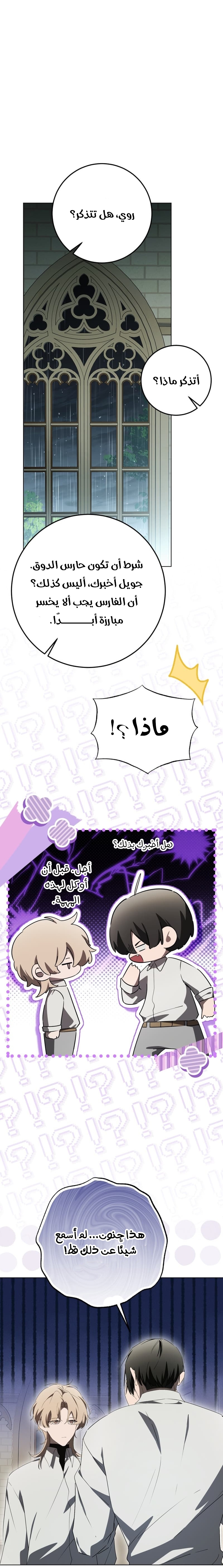 الصفحة 28