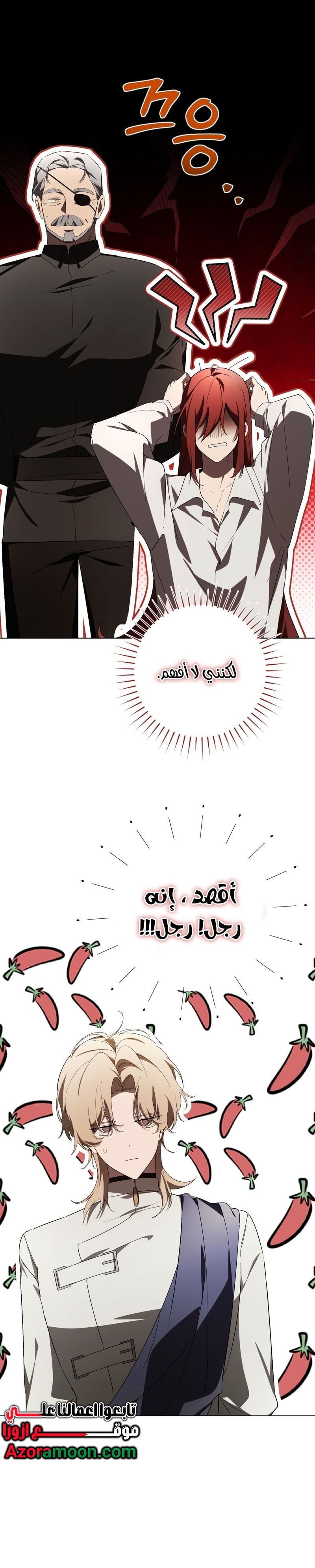 الصفحة 13