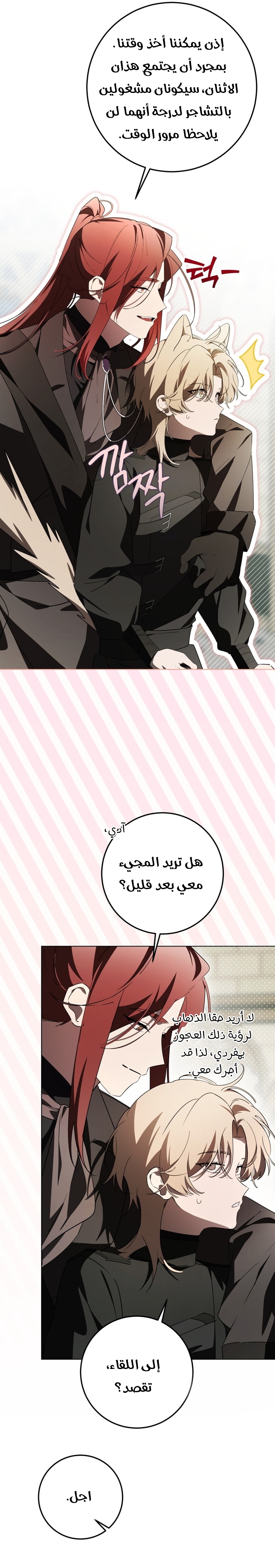 الصفحة 24