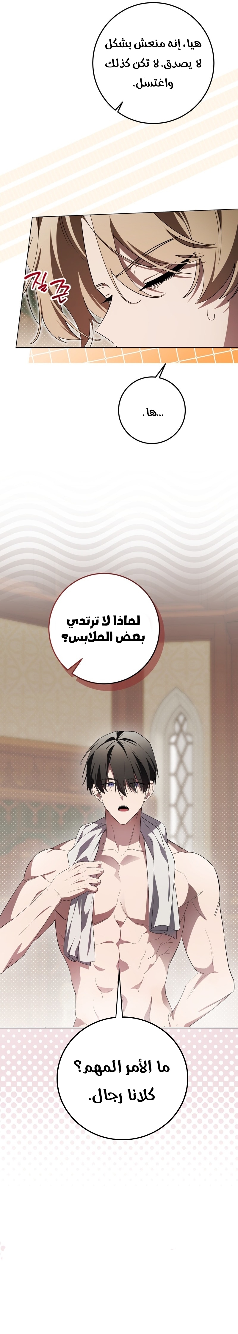 الصفحة 27