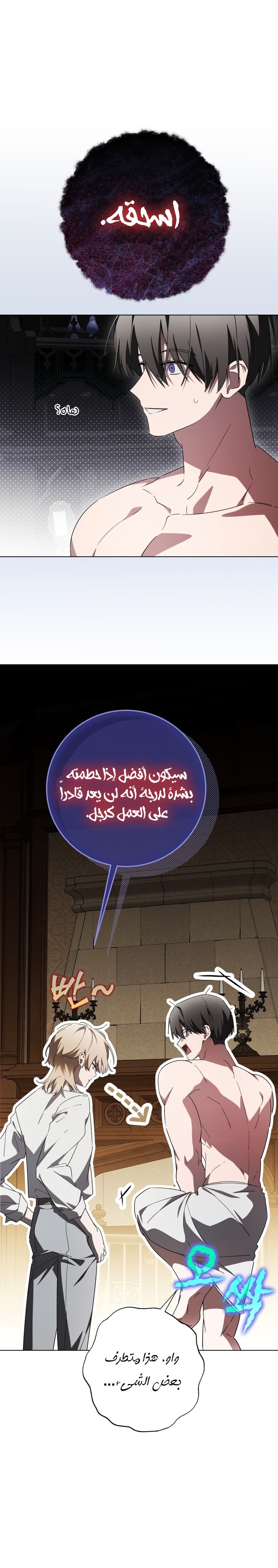 الصفحة 29