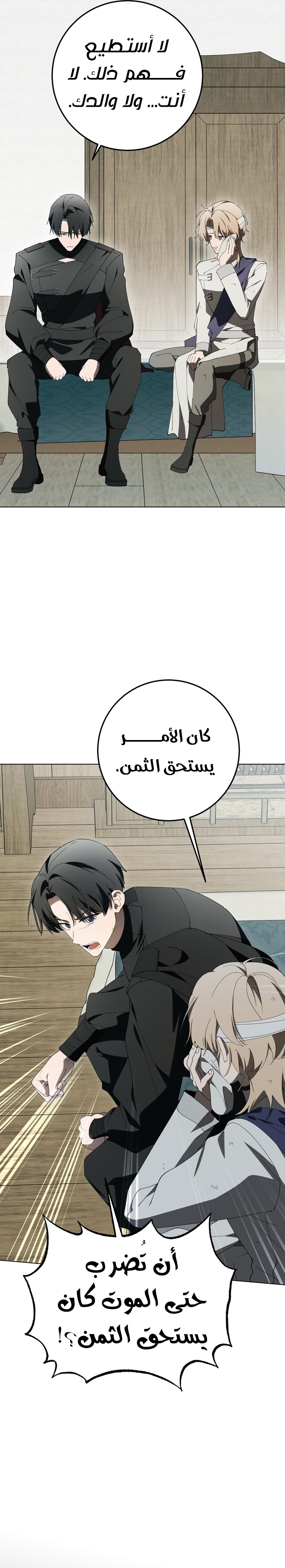 الصفحة 17