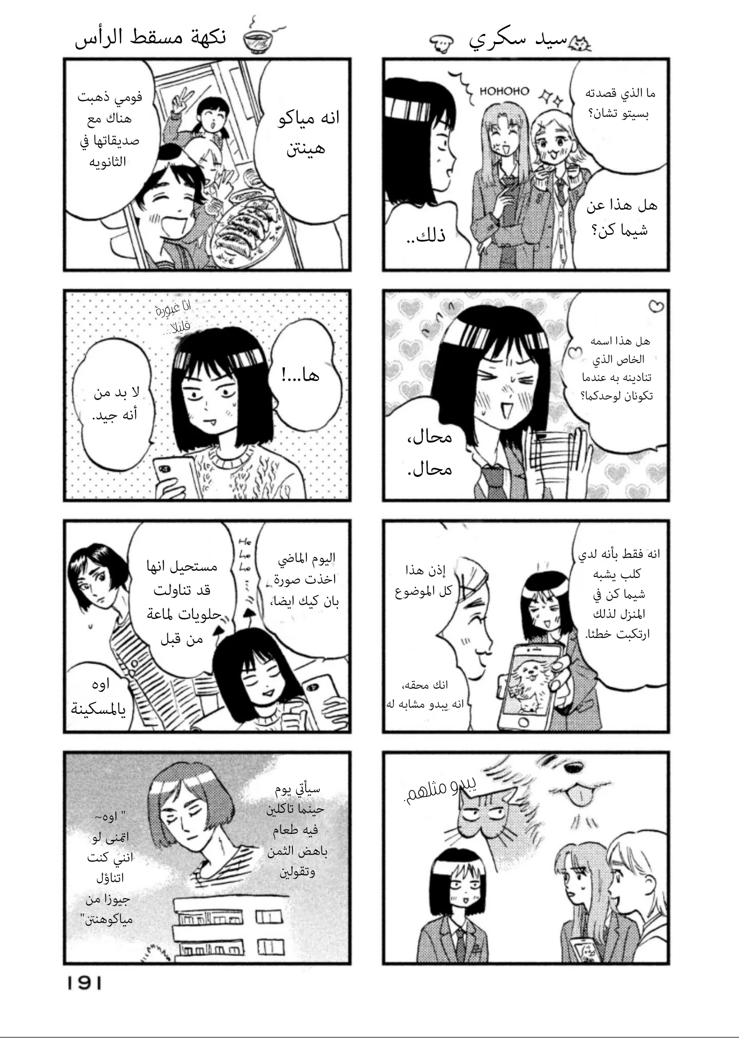 الصفحة 27