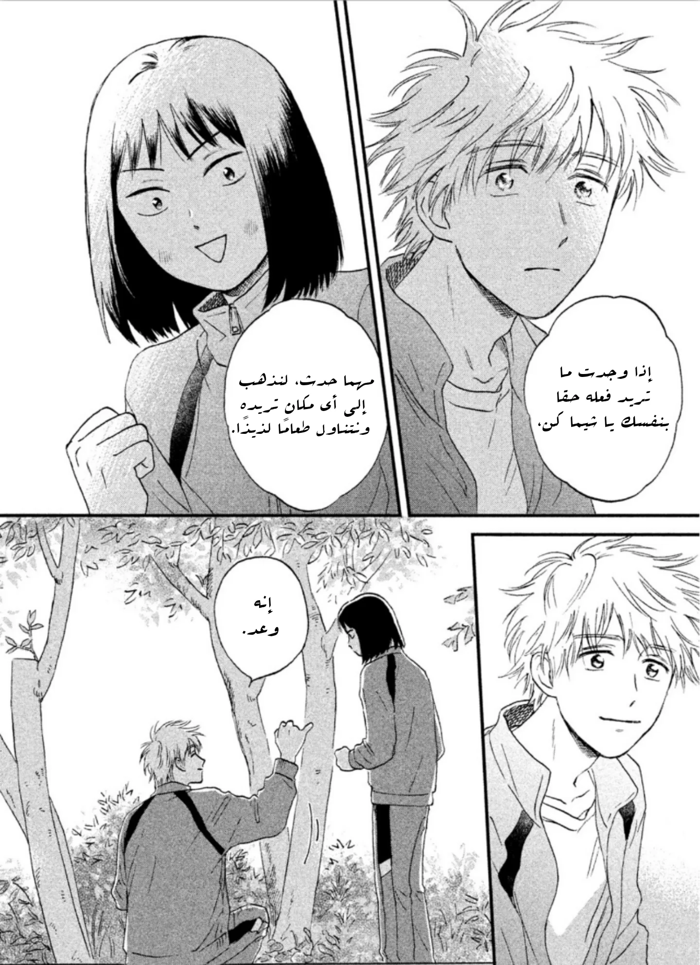 الصفحة 29