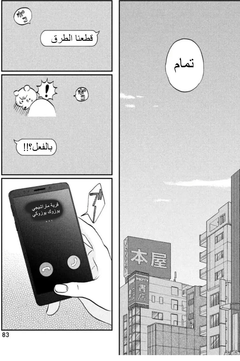 الصفحة 17