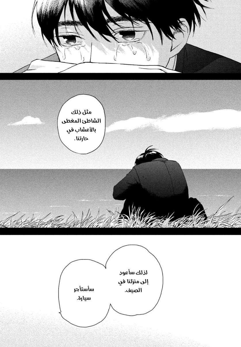 الصفحة 26