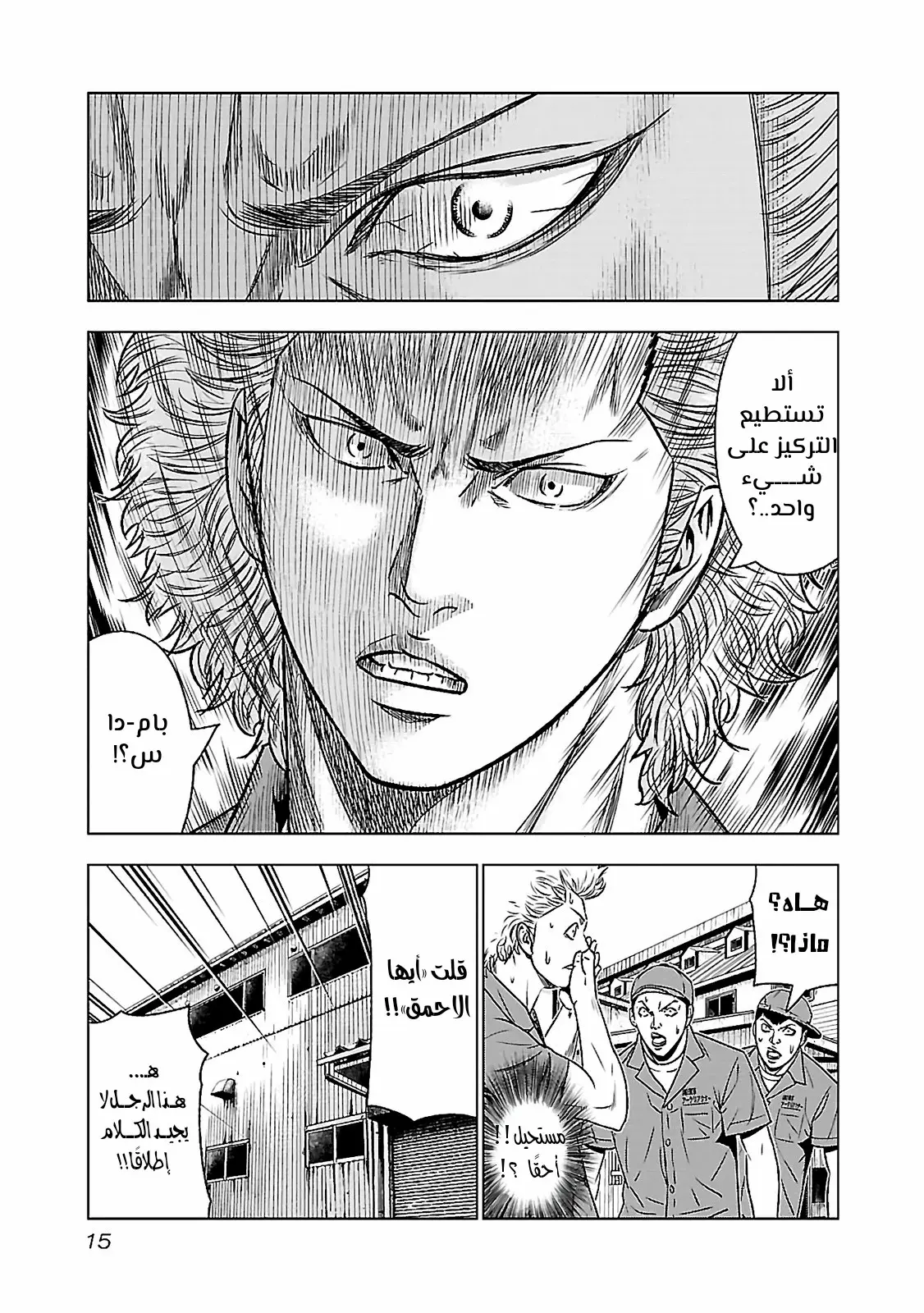 الصفحة 15
