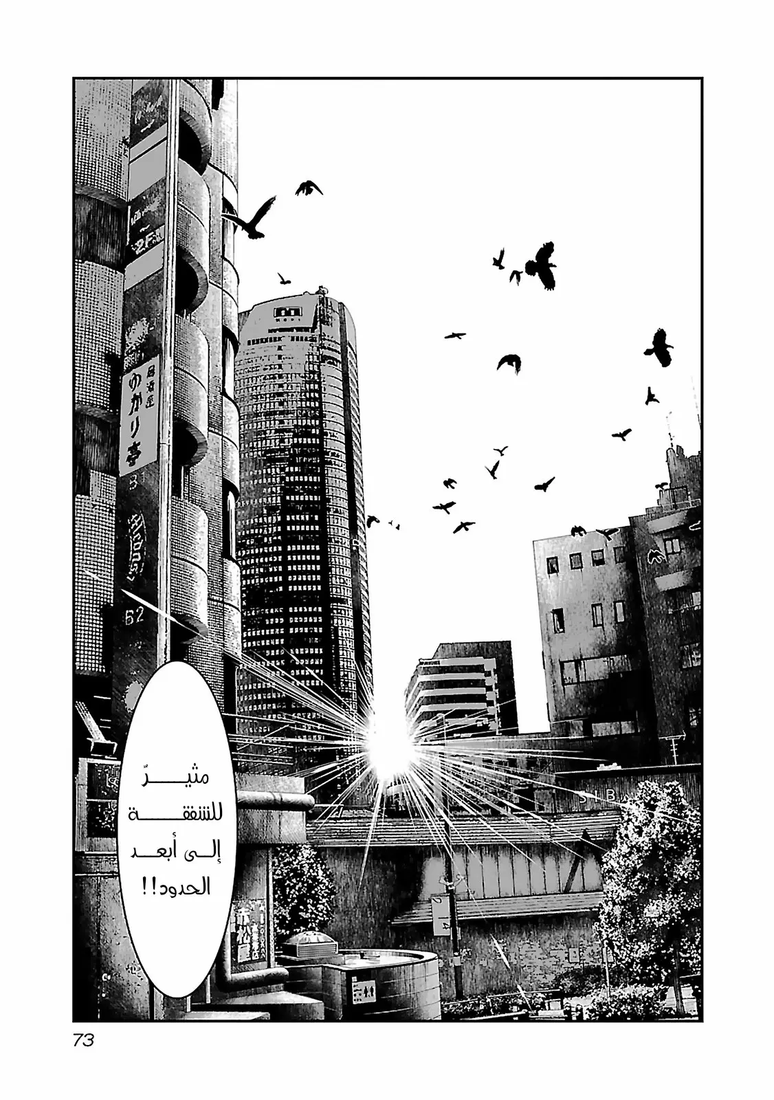 الصفحة 25