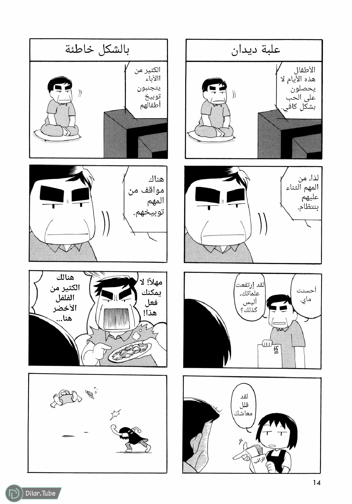الصفحة 14