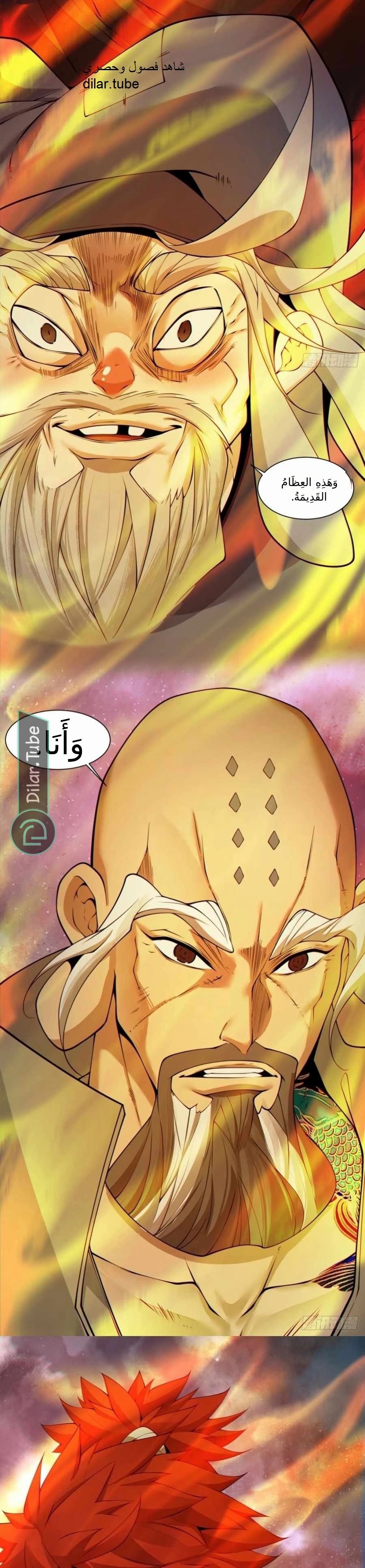 الصفحة 13