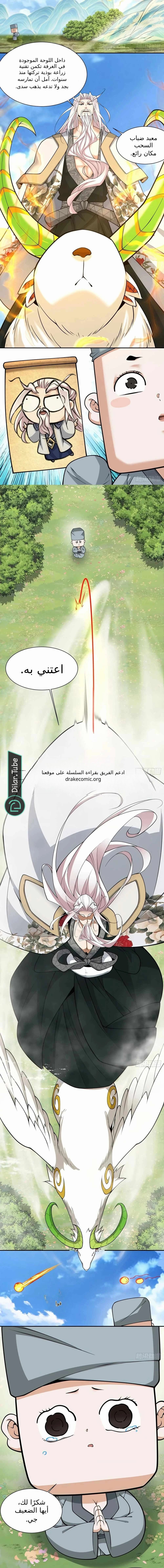 الصفحة 5