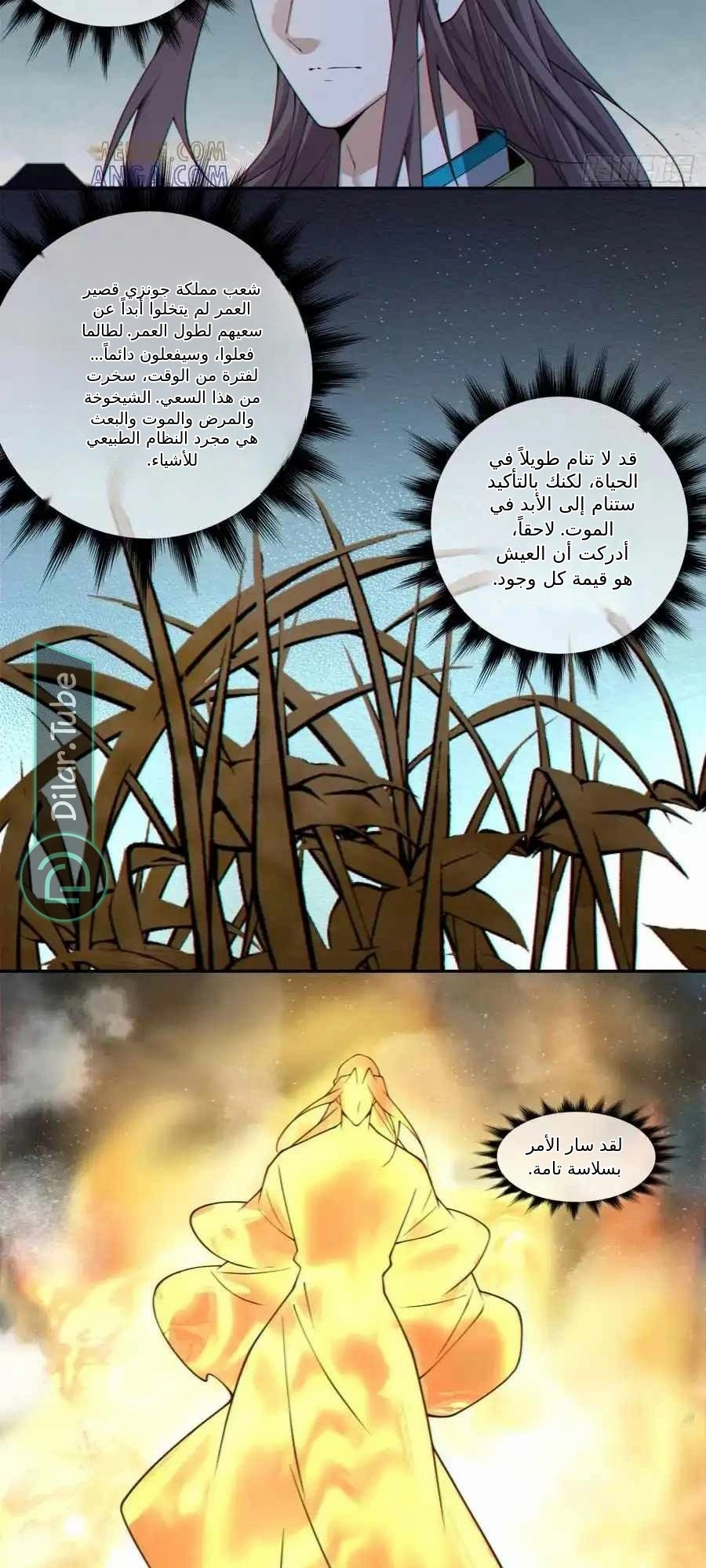 الصفحة 11