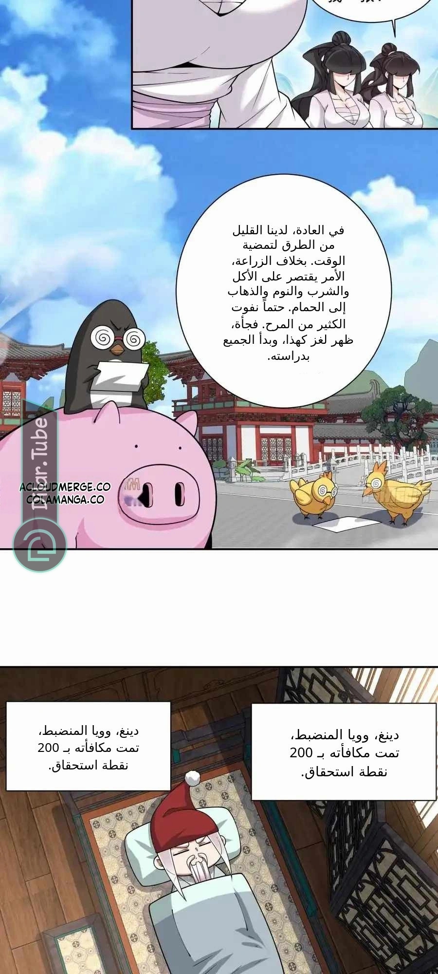 الصفحة 7