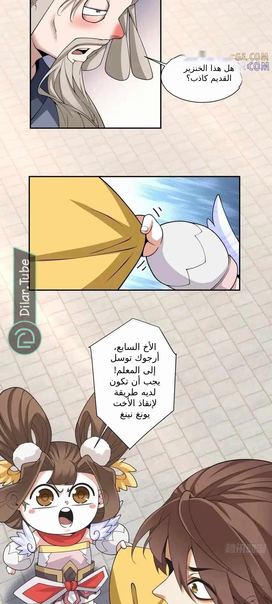 الصفحة 11