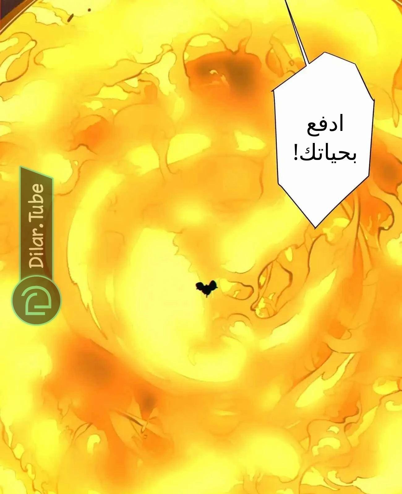 الصفحة 70