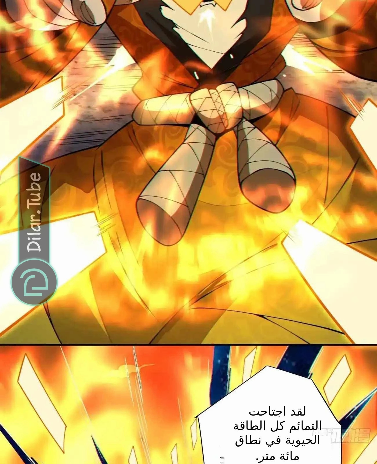 الصفحة 101