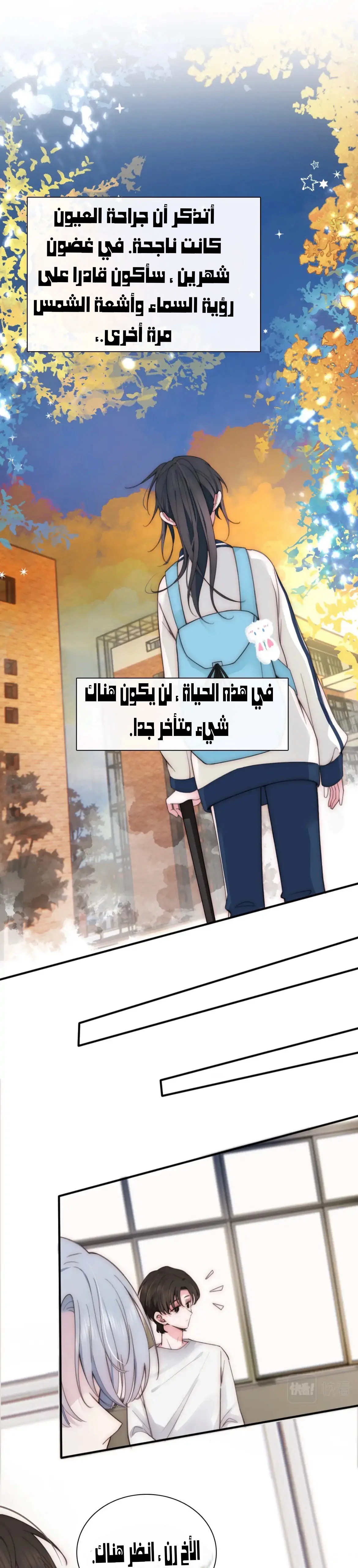 الصفحة 20