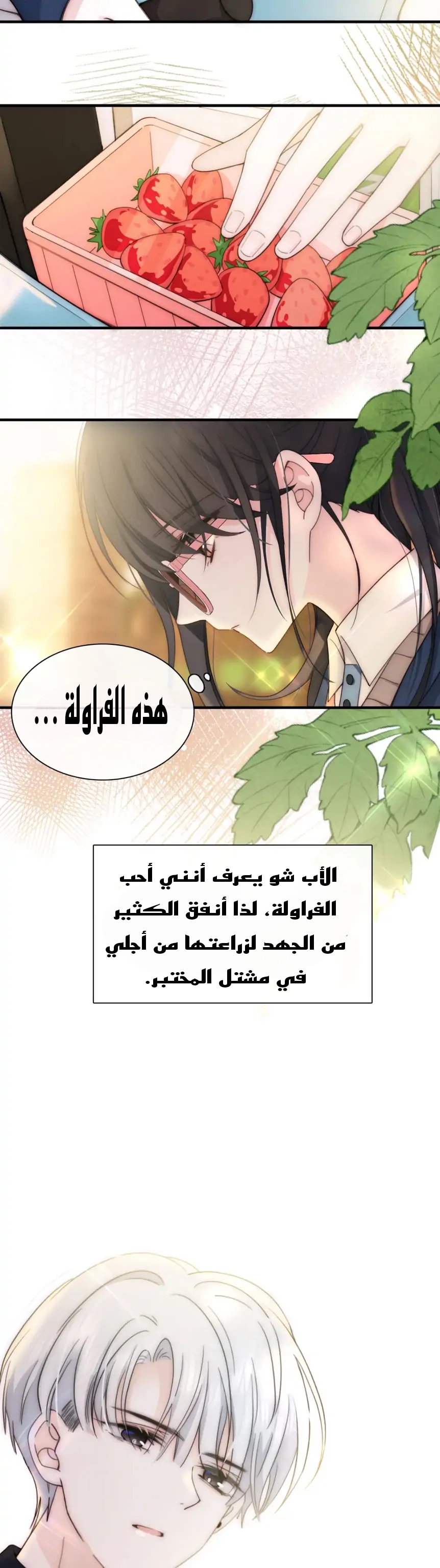 الصفحة 11
