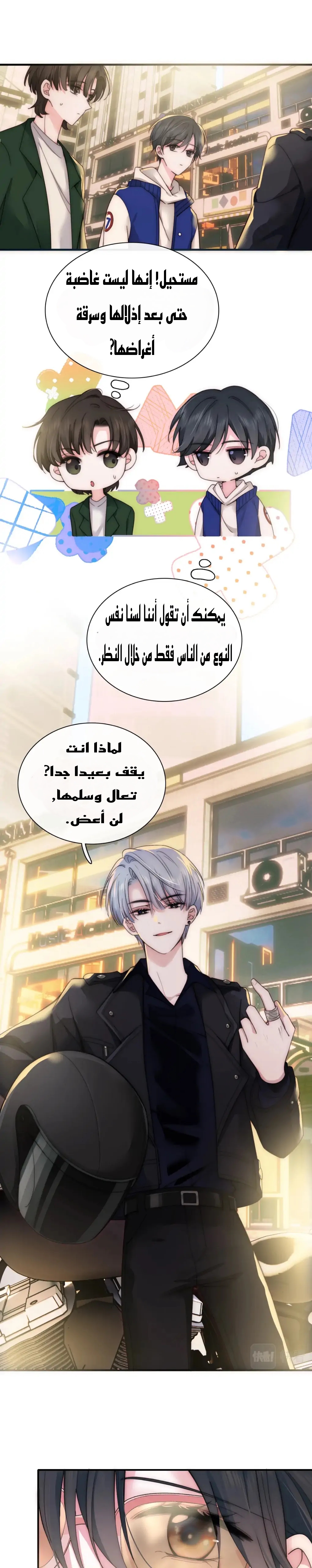الصفحة 13