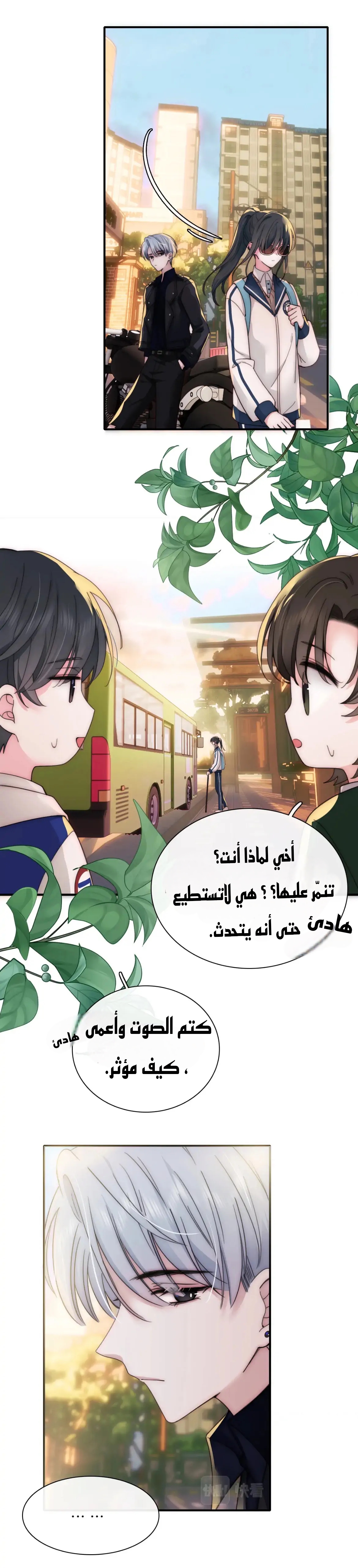 الصفحة 17