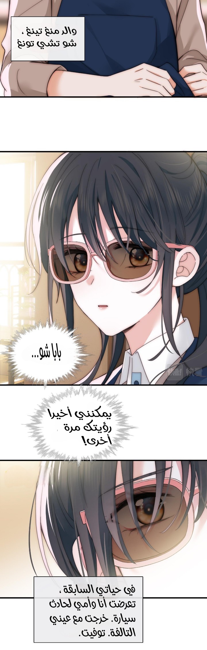 الصفحة 8