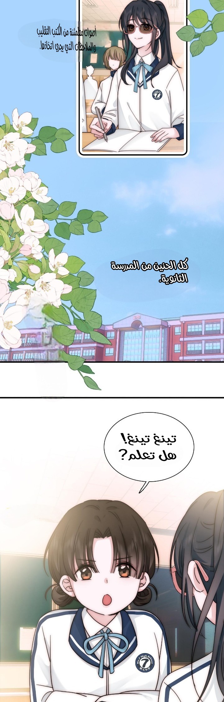 الصفحة 15
