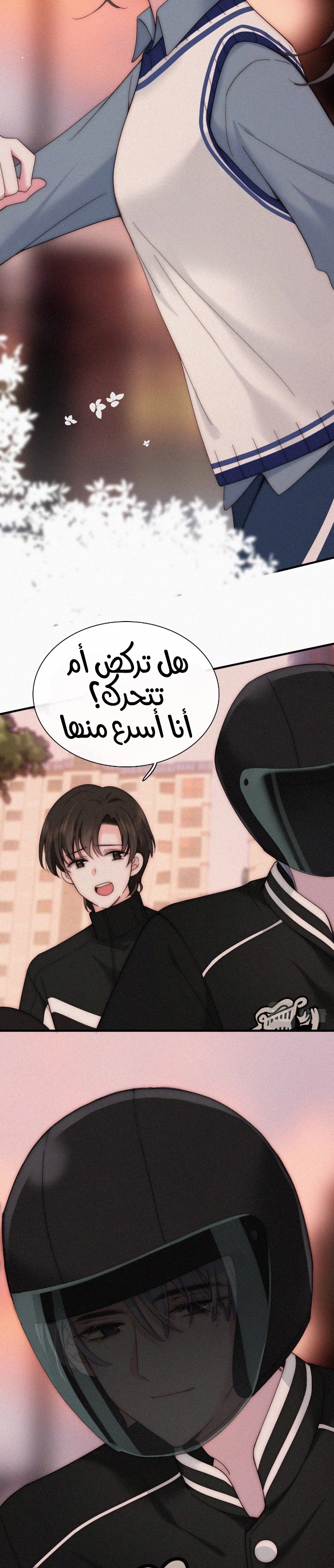 الصفحة 14