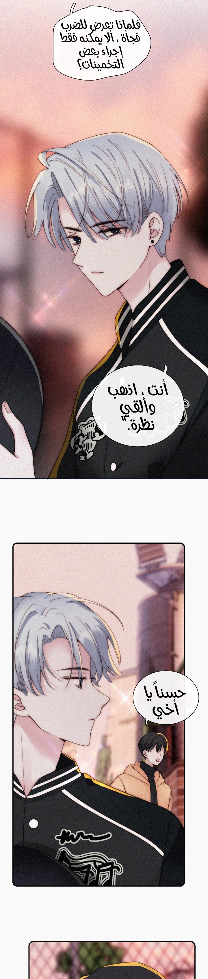 الصفحة 17