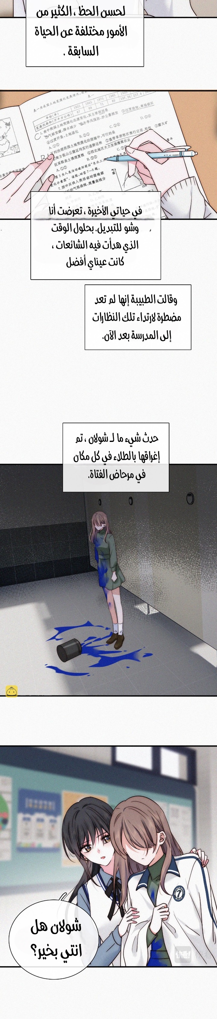 الصفحة 13