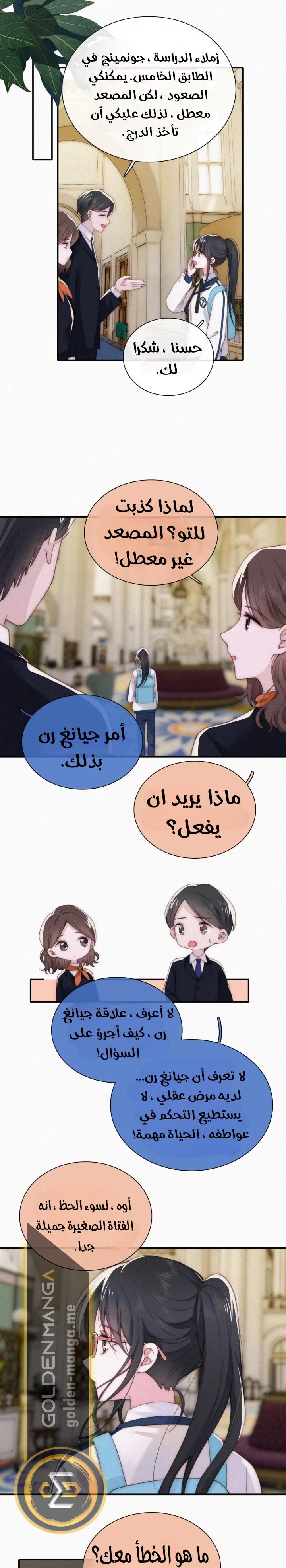 الصفحة 11