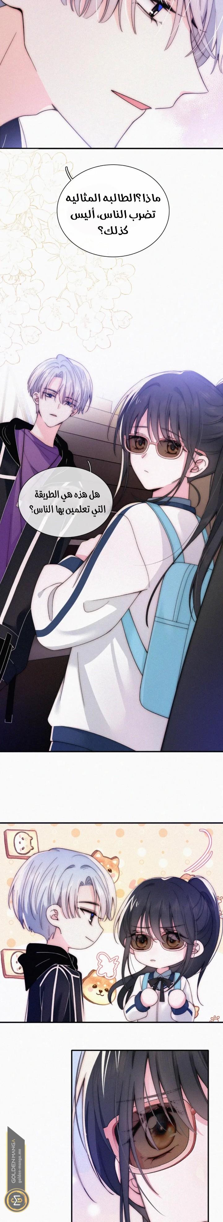 الصفحة 3