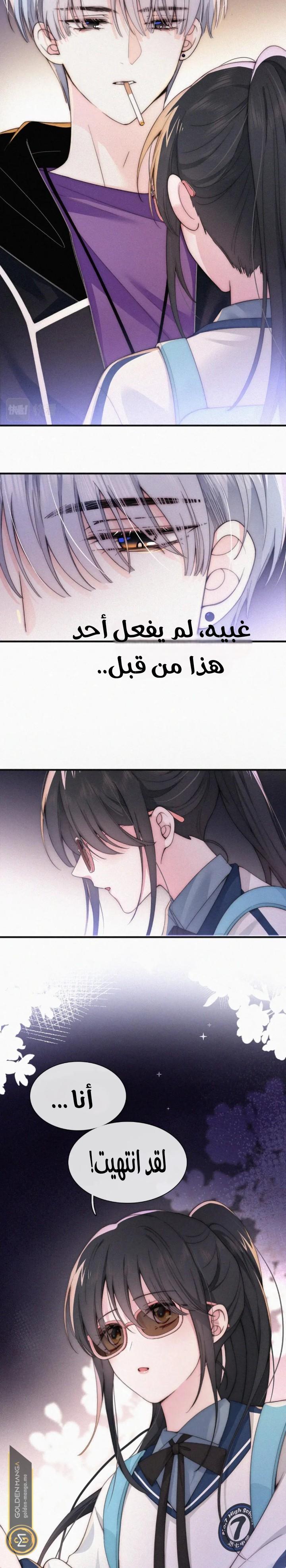 الصفحة 20