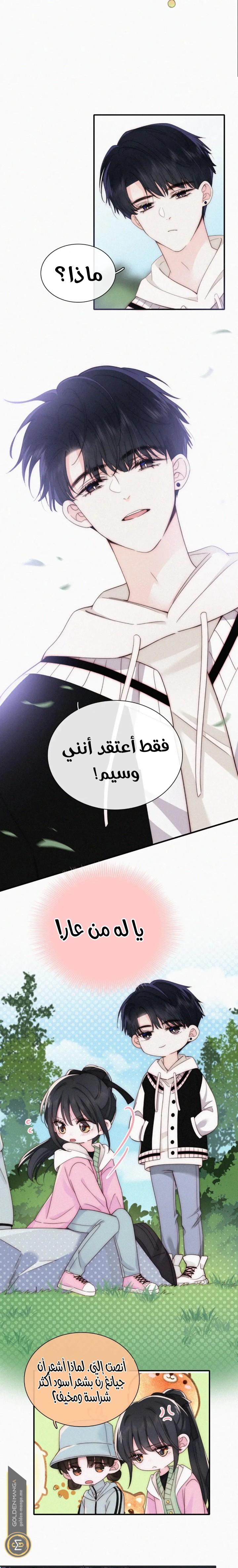 الصفحة 10