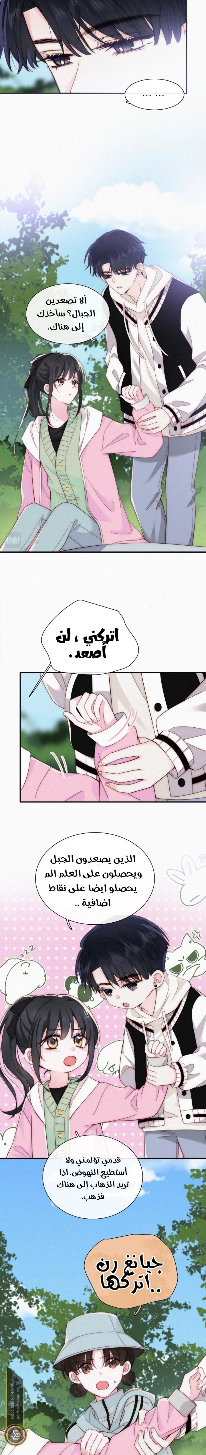 الصفحة 11