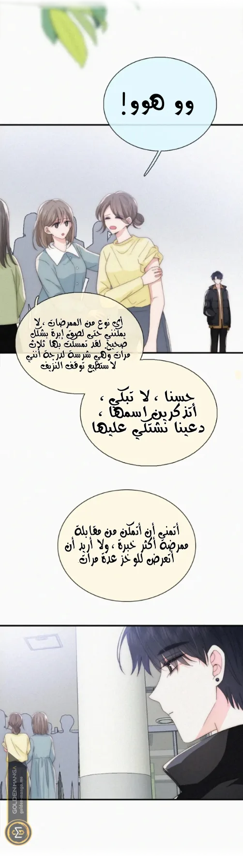 الصفحة 13