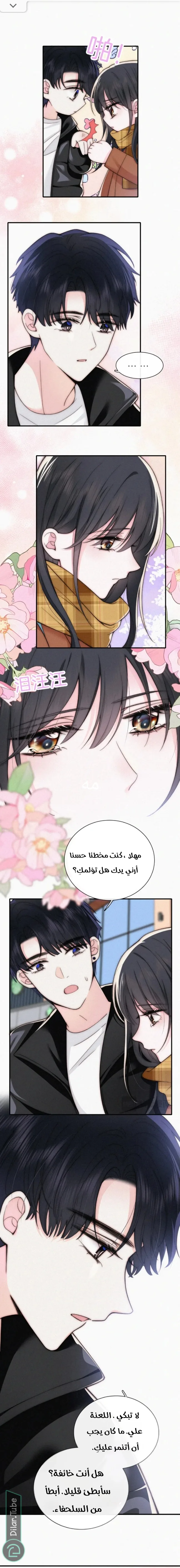 الصفحة 2