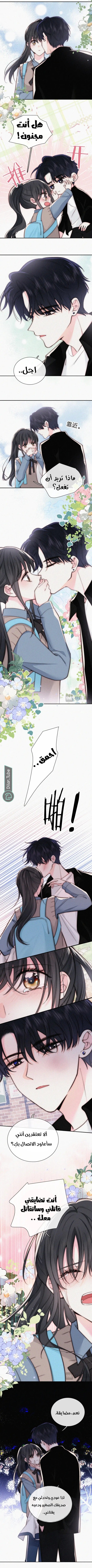 الصفحة 3