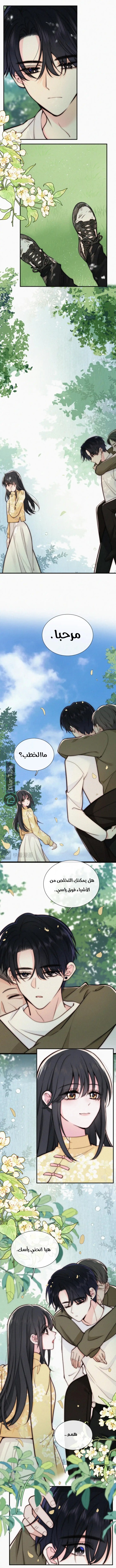 الصفحة 2