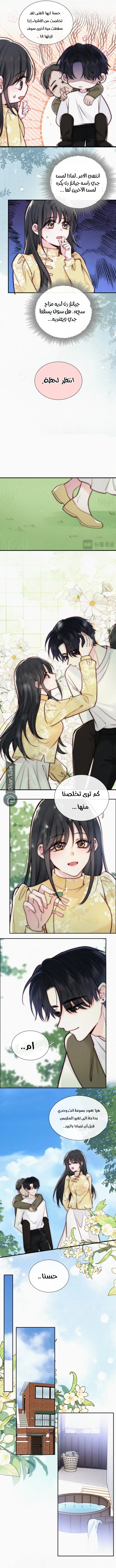 الصفحة 3