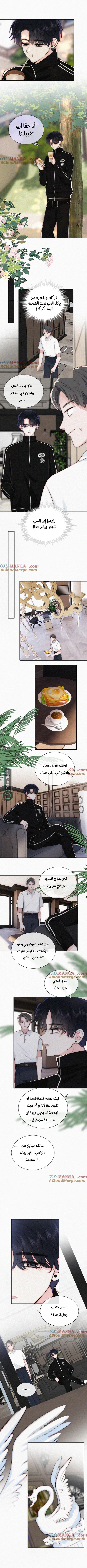 الصفحة 2