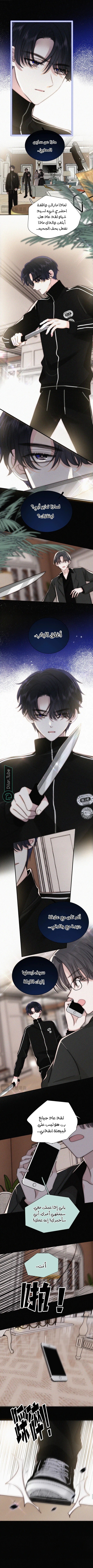 الصفحة 3