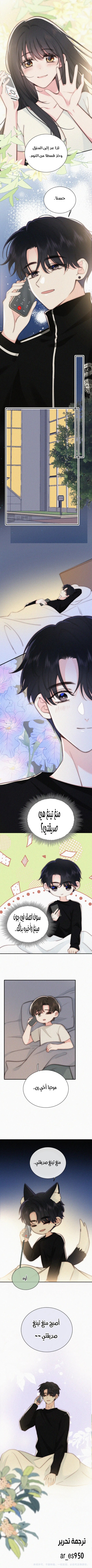 الصفحة 4