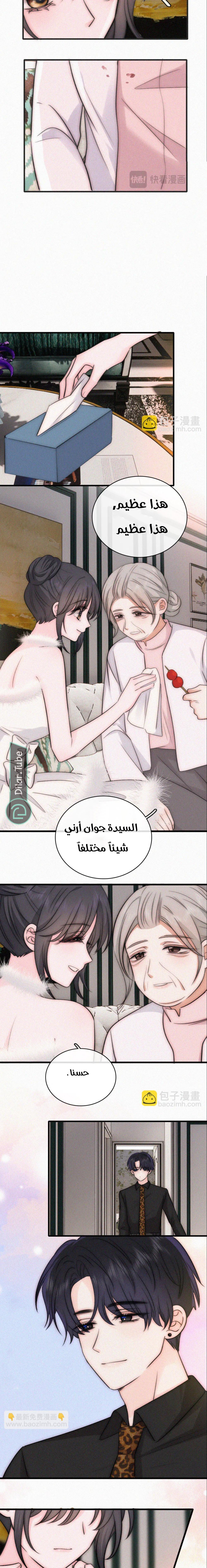 الصفحة 3