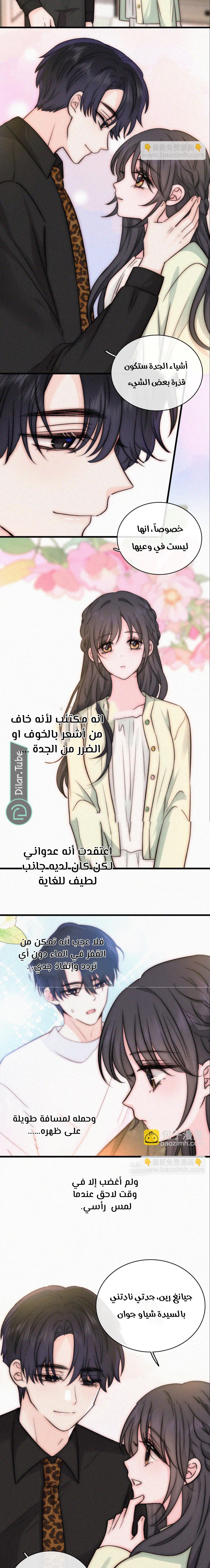 الصفحة 5