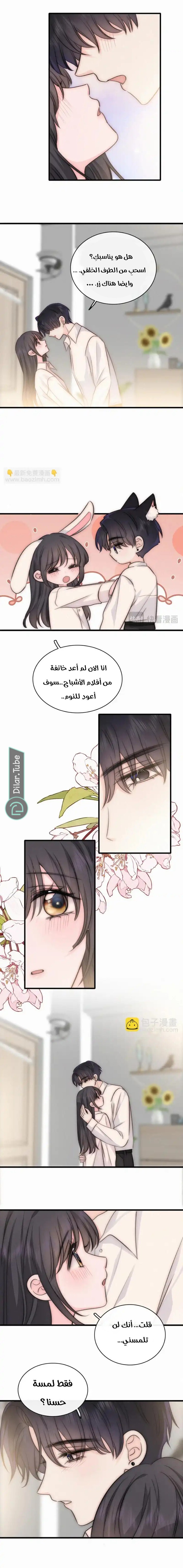 الصفحة 5